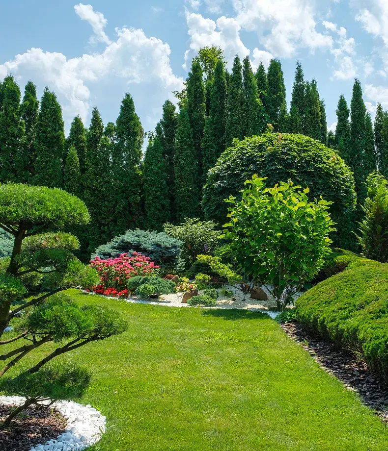 Beautiful Landscaped Garden with Evergreen Trees, Manicured Lawn, and Ornamental Shrubs